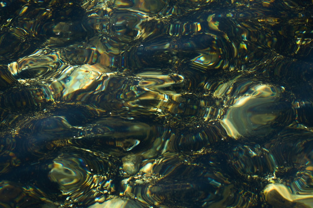 Acqua il nostro oro blu